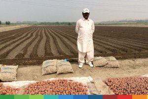 Salt Farm Foundation