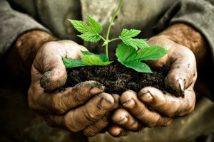 Soil4Life