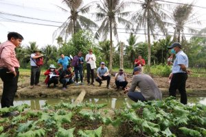 Sustainable Water &amp; Food Solutions for Saline Mekong Delta