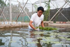 Salinity Advisory as Location and Specific and Timely Service
