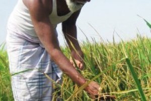 Climate Change Adaptation in Rural Areas-India