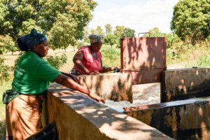 Transforming Smallholder Irrigation into Profitable and Self-sustaining Systems in Southern Africa