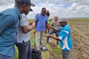 ESA Saline Agriculture Network