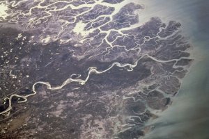 Multi-stakeholder efforts to enhance socio-ecological landscape resilience in Pakistan's Indus Delta area