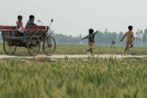 South Asia Region Program 2021–22