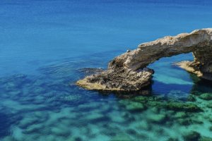 INTHEMED