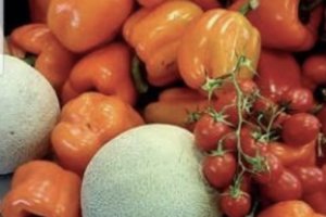 VEG-ADAPT