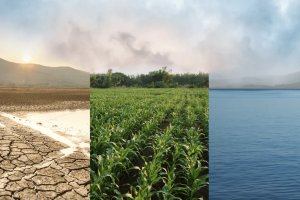 Saline Water and Food Systems Partnership