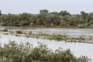 Green Central Asia