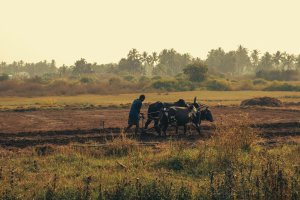 African Soil Partnership