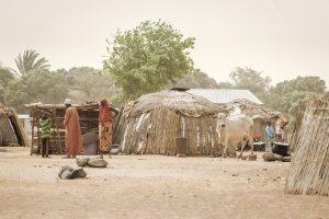 Agro-ecological Farming for Resilient Agriculture in West Africa