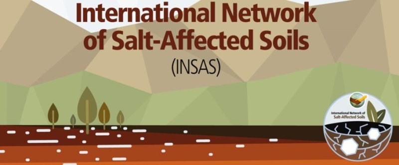 Insas